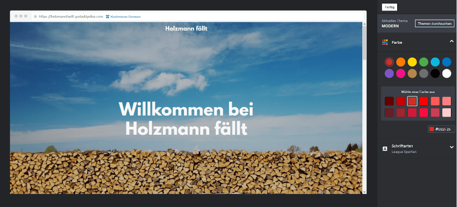 Firmenhomepage erstellen mit GoDaddy Schritt 3.3: Farben wählen