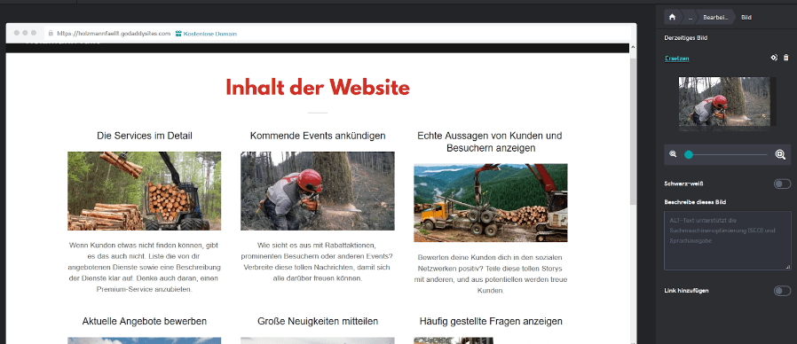 Firmenhomepage erstellen mit GoDaddy Schritt 6.1: Inhalte