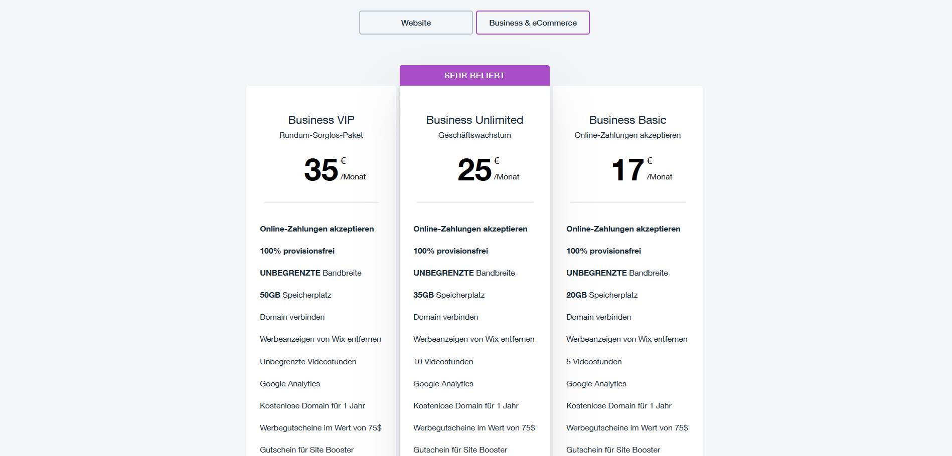 Homepage Baukasten Test: Wix Business Optionen