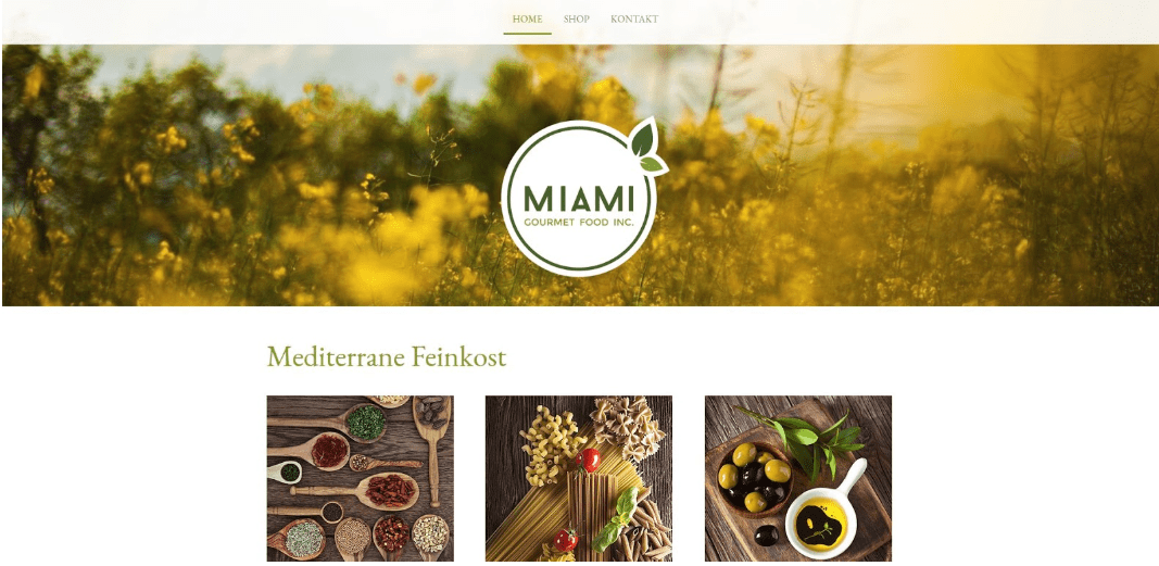 Eigenen Online-Shop erstellen - Beispiel 4