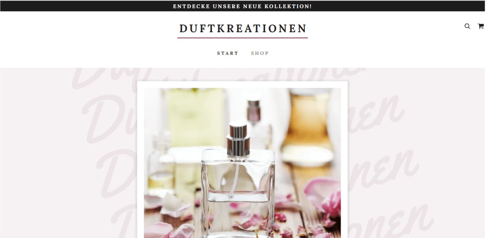 Eigenen Online-Shop erstellen - Beispiel 9