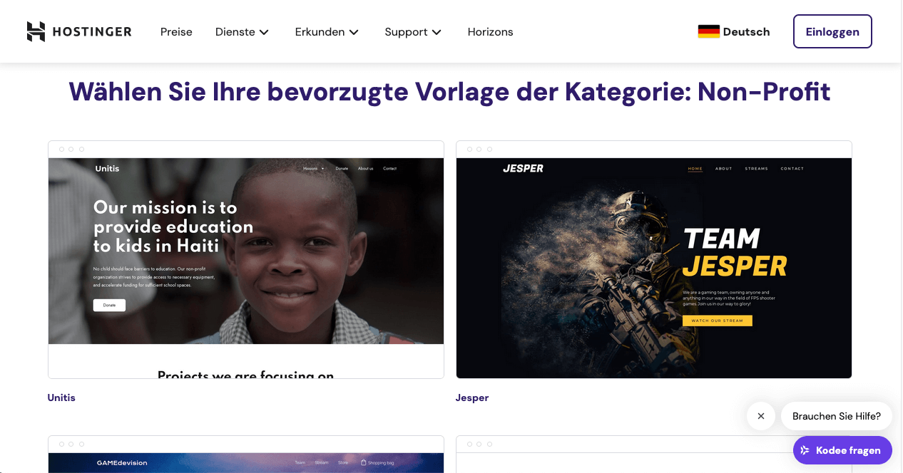 NGO Hostinger Vorlage